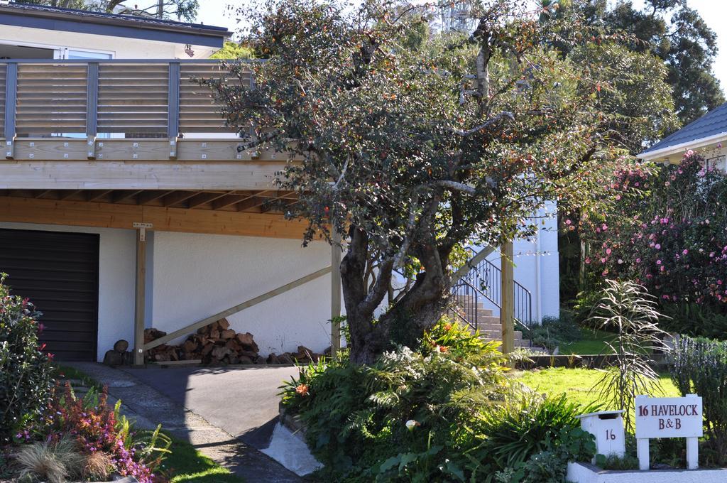 ニュープリマス 16 ハベロック Bed & Breakfast エクステリア 写真
